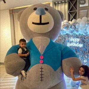 Tedi Boy