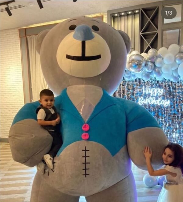 Tedi Boy
