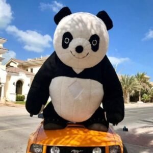Panda Şou