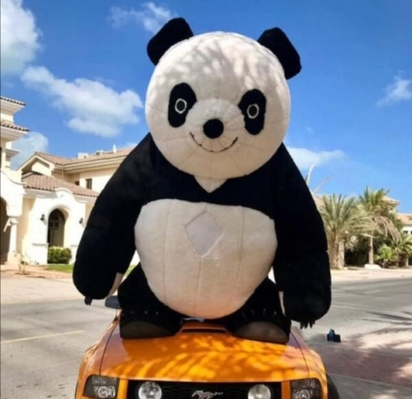 Panda Şou
