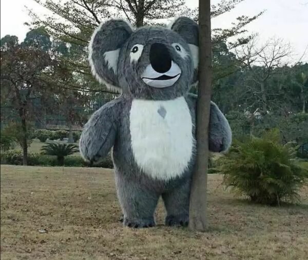 Koala - Image 4