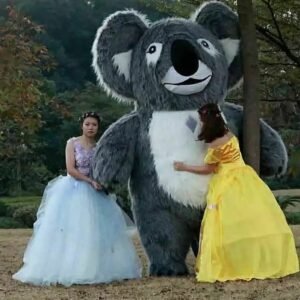 Koala