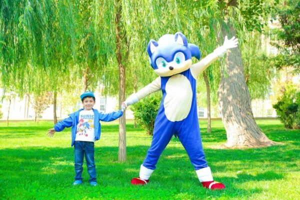 Sonic Animator - Image 2