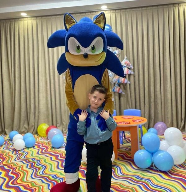 Sonic Animator