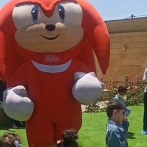 Sonic
