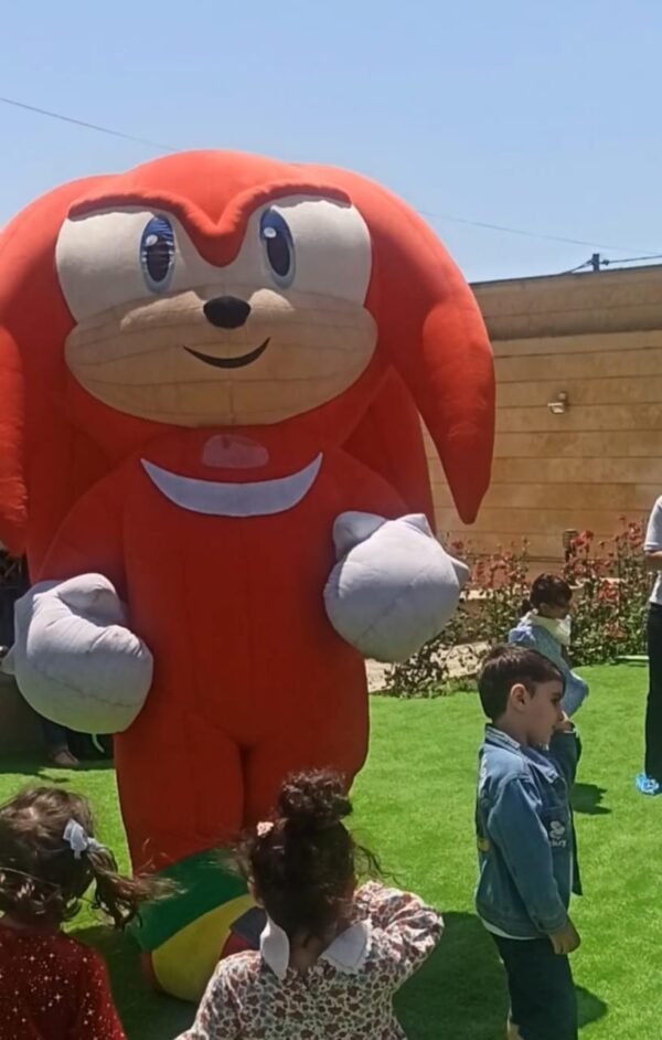 Sonic