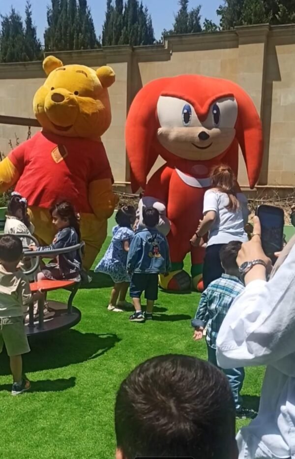 Sonic - Image 3