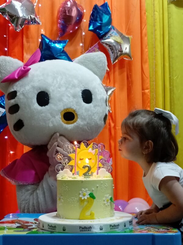 Hello Kitty - Image 3